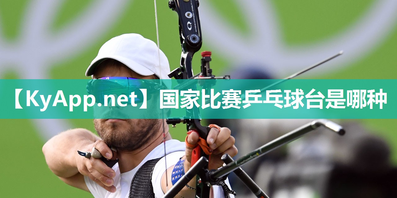 国家比赛乒乓球台是哪种