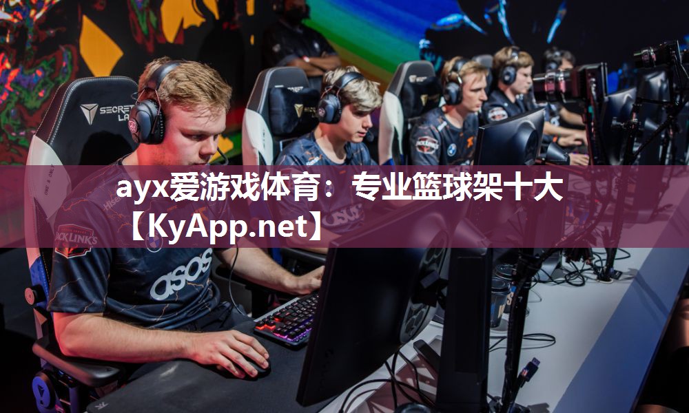 ayx爱游戏体育：专业篮球架十大