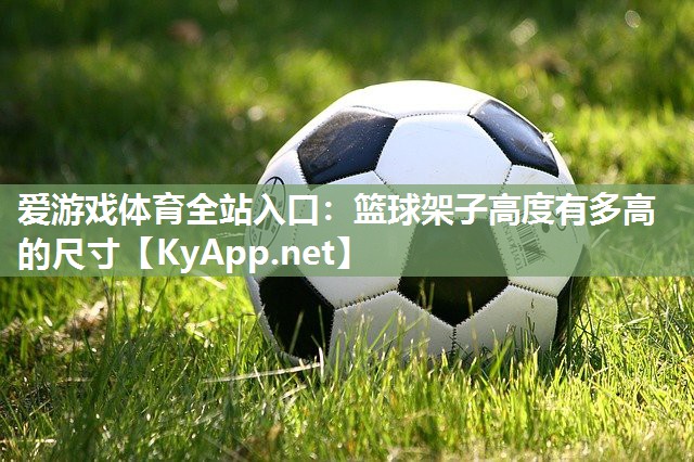 爱游戏体育全站入口：篮球架子高度有多高的尺寸