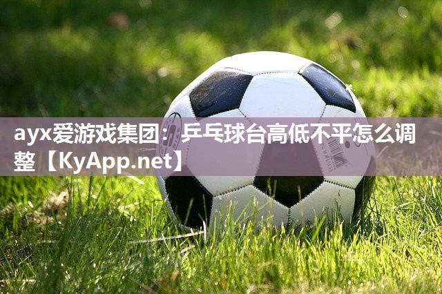 乒乓球台高低不平怎么调整 乒乓球台高低不平怎么调整