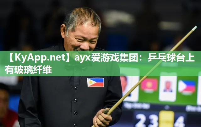 乒乓球台上有玻璃纤维 乒乓球台上有玻璃纤维
