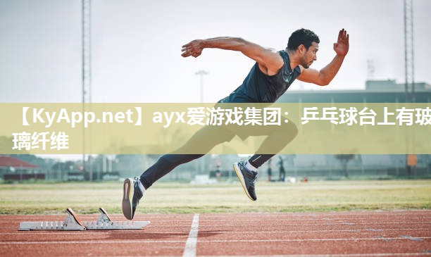 乒乓球台上有玻璃纤维 乒乓球台上有玻璃纤维