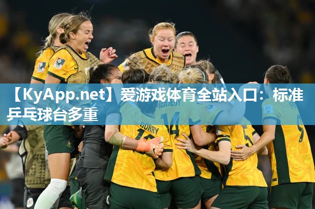 标准乒乓球台多重 标准乒乓球台多重