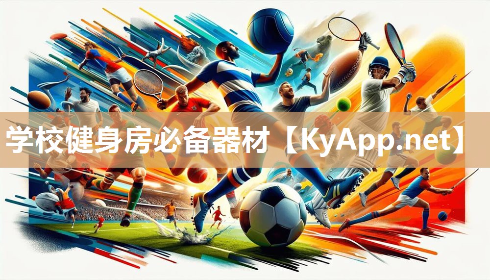 学校健身房必备器材 学校健身房必备器材