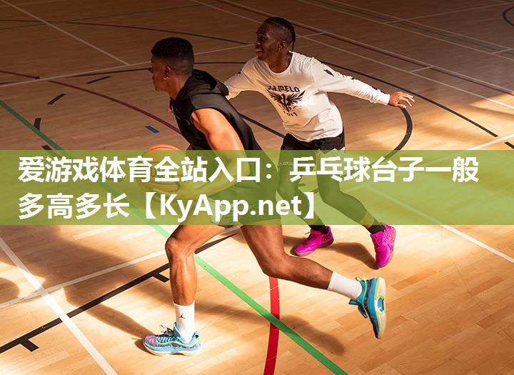 乒乓球台子一般多高多长 乒乓球台子一般多高多长