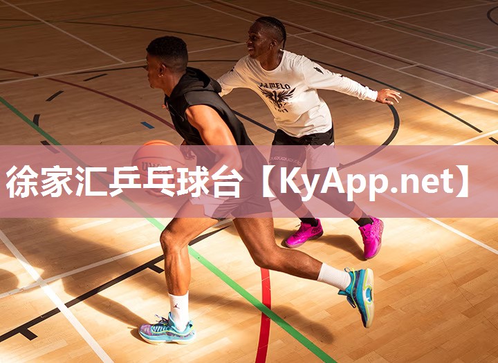 徐家汇乒乓球台 徐家汇乒乓球台
