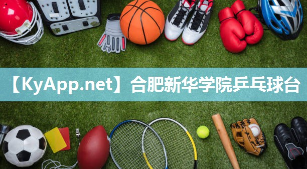 合肥新华学院乒乓球台 合肥新华学院乒乓球台