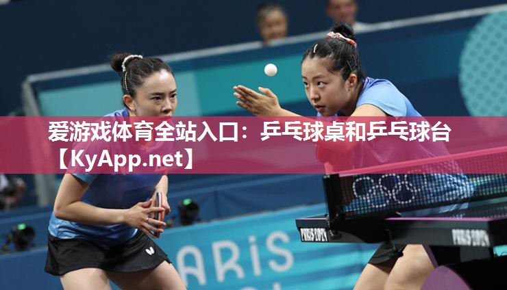 乒乓球桌和乒乓球台 乒乓球桌和乒乓球台