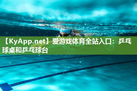 乒乓球桌和乒乓球台 乒乓球桌和乒乓球台