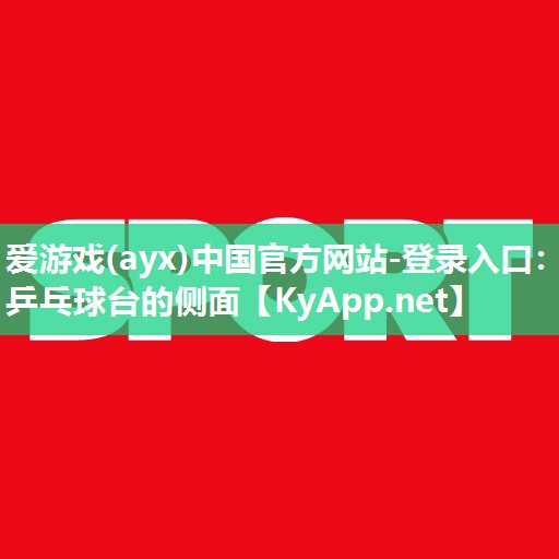 乒乓球台的侧面 乒乓球台的侧面