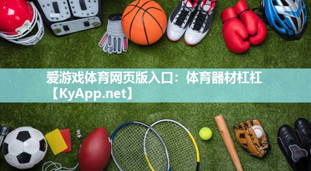 体育器材杠杠 体育器材杠杠