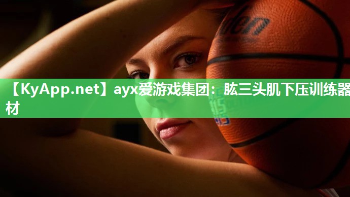 肱三头肌下压训练器材 肱三头肌下压训练器材