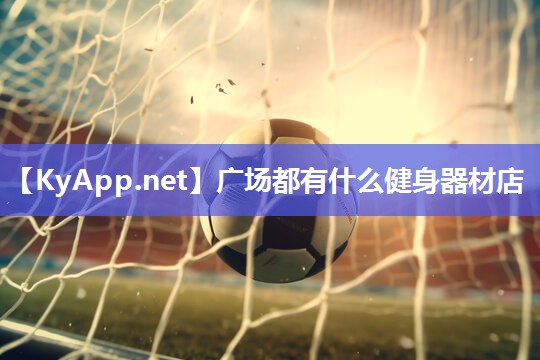 广场都有什么健身器材店 广场都有什么健身器材店