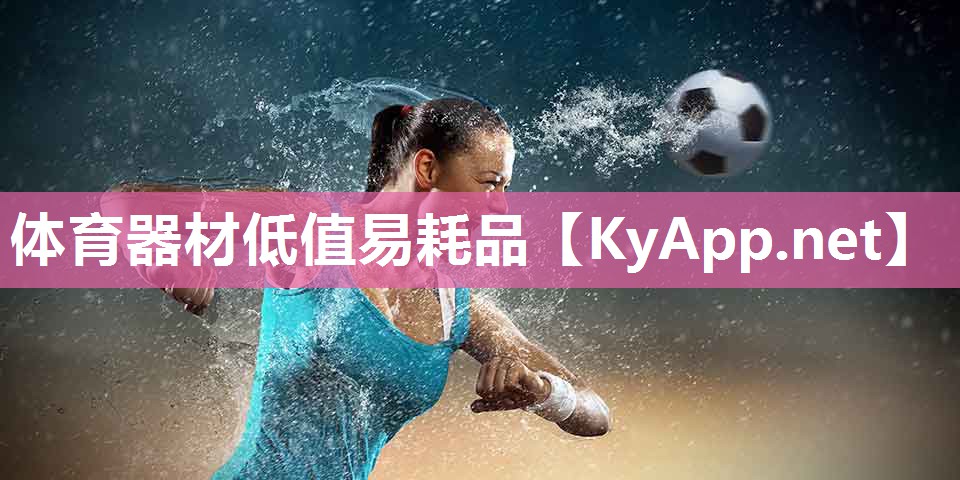 体育器材低值易耗品 体育器材低值易耗品