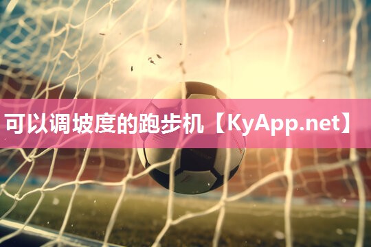 可以调坡度的跑步机 可以调坡度的跑步机