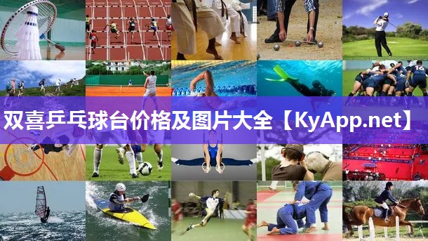 双喜乒乓球台价格及图片大全 双喜乒乓球台价格及图片大全