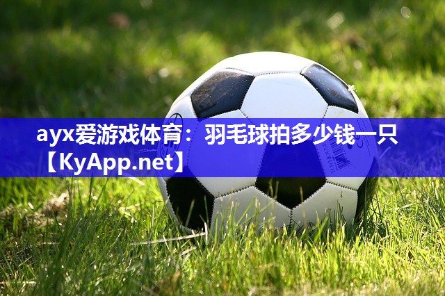 羽毛球拍多少钱一只 羽毛球拍多少钱一只