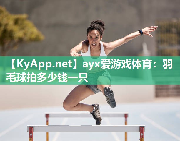 羽毛球拍多少钱一只 羽毛球拍多少钱一只
