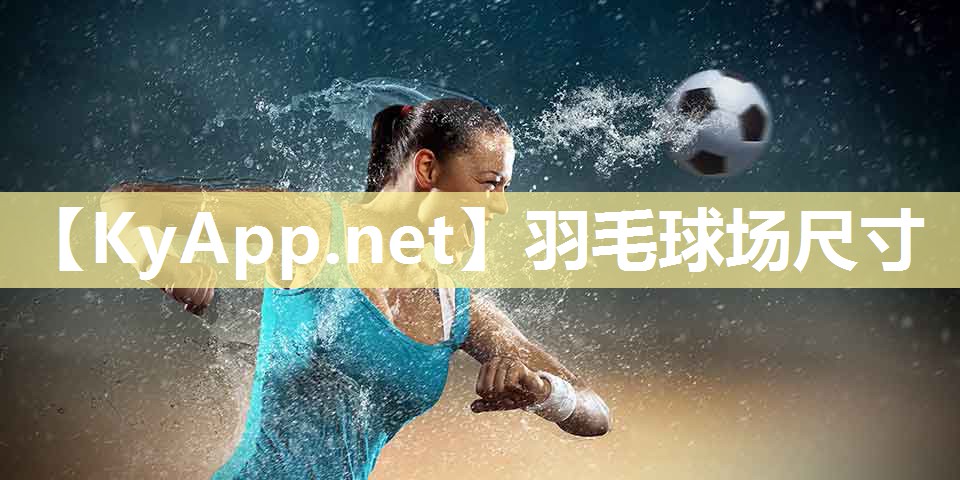 羽毛球场尺寸 羽毛球场尺寸