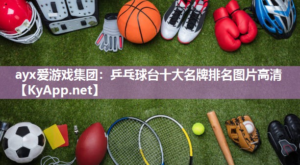乒乓球台十大名牌排名图片高清 乒乓球台十大名牌排名图片高清