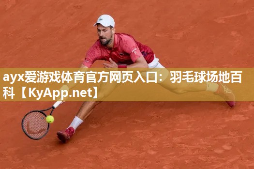 羽毛球场地百科 羽毛球场地百科