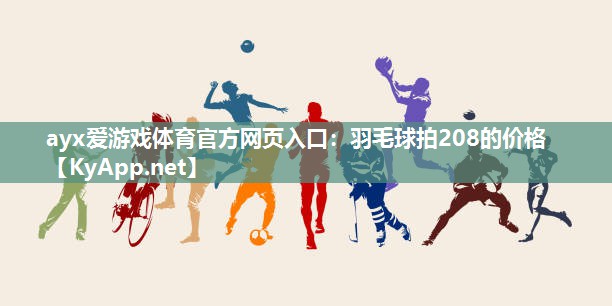 羽毛球拍208的价格 羽毛球拍208的价格