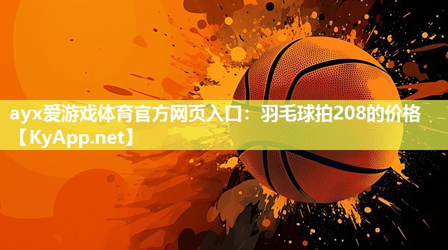 羽毛球拍208的价格 羽毛球拍208的价格