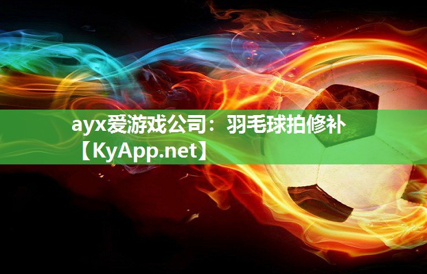羽毛球拍修补 羽毛球拍修补