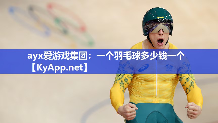 一个羽毛球多少钱一个 一个羽毛球多少钱一个
