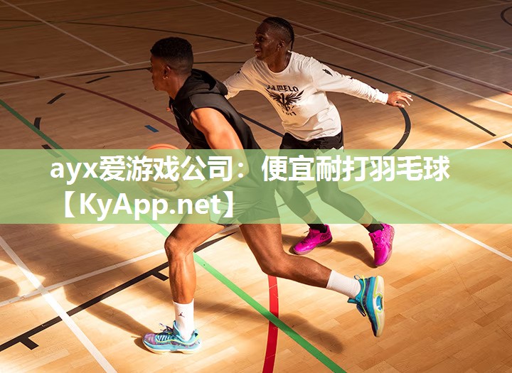 便宜耐打羽毛球 便宜耐打羽毛球
