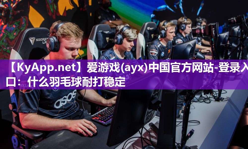 什么羽毛球耐打稳定 什么羽毛球耐打稳定