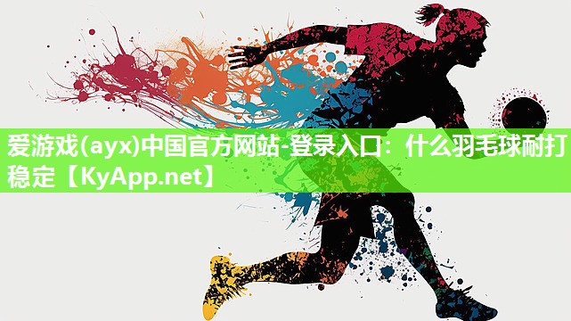 什么羽毛球耐打稳定 什么羽毛球耐打稳定