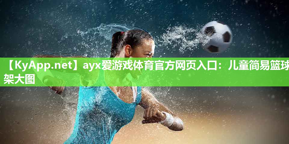 儿童简易篮球架大图 儿童简易篮球架大图
