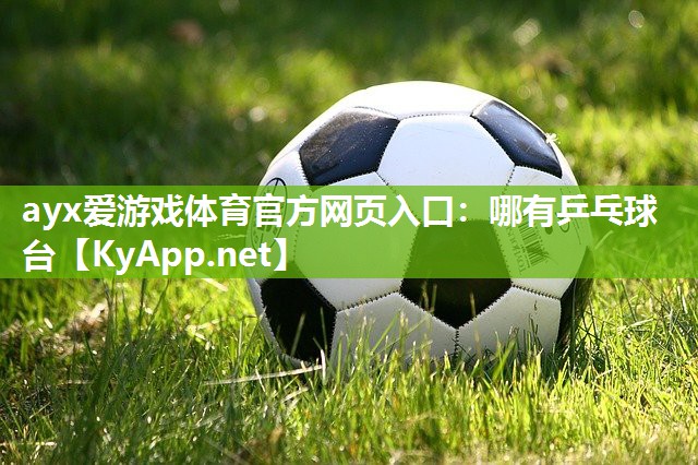 哪有乒乓球台 哪有乒乓球台