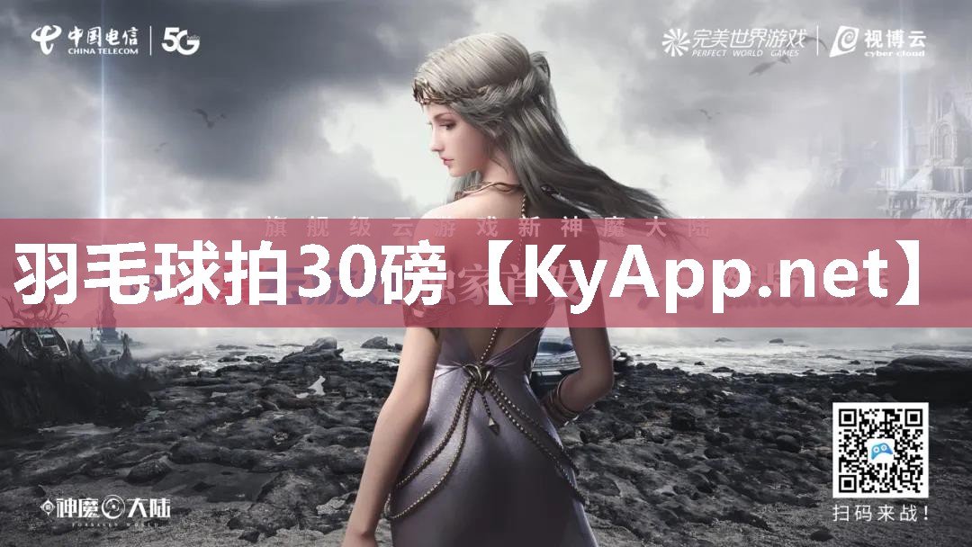 羽毛球拍30磅 羽毛球拍30磅