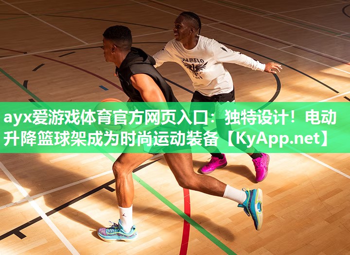 独特设计!电动升降篮球架成为时尚运动装备 独特设计!电动升降篮球架成为时尚运动装备